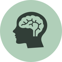 Brain icon image